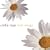 Love Songs