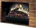 Tools & Hardware : Dimplex DF12309 Electric Fireplace Insert