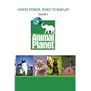 Horse Power: Road to Maclay - Episode 2