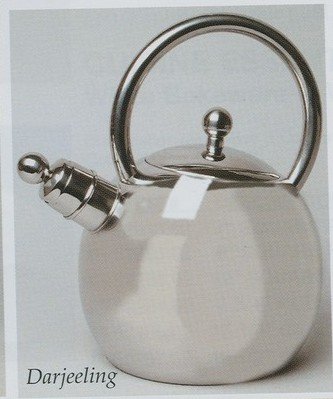 Gibson Darjeeling Stainless Steel Whistling Tea Kettle Teakettle