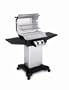Ducane 16008101 864-Square-Inch 2-Burner Natural Gas Grill, Stainless Steel