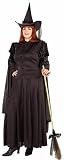 Womens Costume Halloween Classic Wicked Witch of the West Party Outfit Black Dress Plus Size