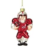 Mississippi State Bulldogs 5 Glass Caucasian Football Player