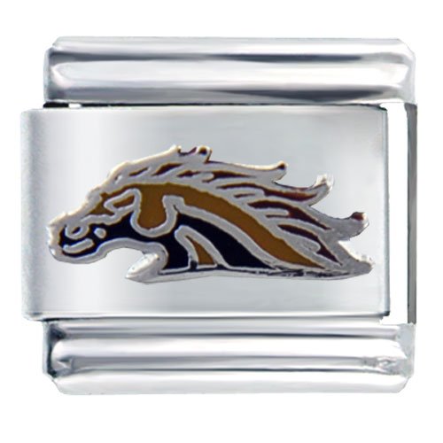 Western Michigan Bronco Licensed Italian Charms Bracelet Link