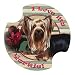 Yorkshire Terrier Carsters - Coasters for Your Car