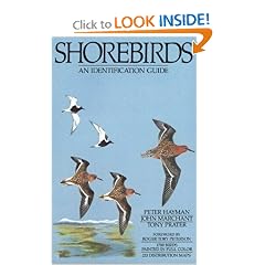 Shorebirds: An Identification Guide to the Waders of the World