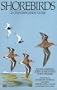 Shorebirds: An Identification Guide to the Waders of the World