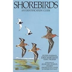 Shorebirds