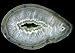 Large Agate Geode - 24W x 17H - Peel and Stick Wall Decal by Wallmonkeys