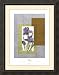 Regal Iris One Framed Print by Nakisa Framed