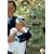 Jack And Sarah (1995) [DVD]