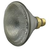GE Halogen Indoor/Outdoor Floodlight, Standard, 100 Watts