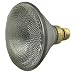 GE Halogen Indoor/Outdoor Floodlight, Standard, 100 Watts