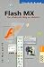 Flash MX. Der effektvolle Weg zur Website. F&uuml;r Mac und PC.