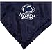 Comfy Feet Penn St. Nittany Lions Infant Silky Blanket