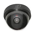 SVAT ISC302 Outdoor Imitation Dome Security Camera w/Blinking LED