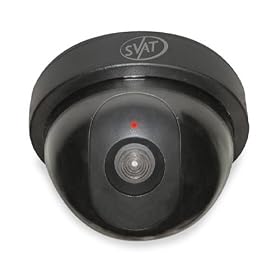 SVAT ISC302 Outdoor Imitation Dome Security Camera w/Blinking LED