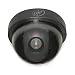SVAT ISC302 Outdoor Imitation Dome Security Camera w/Blinking LED