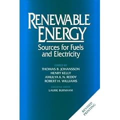 Renewable Energy: Sources for Fuels and Electricity