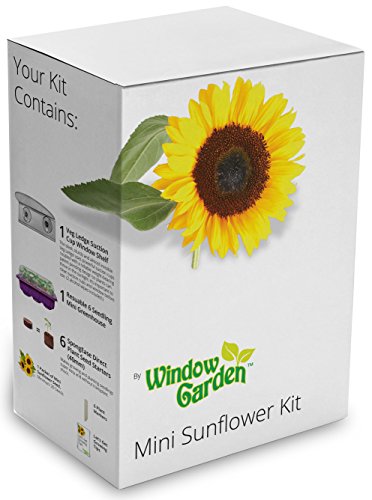 Window Garden Mini Sunflower Kit Window Garden Mini Sunflower Kit