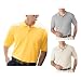 Izod - Men's Classic Silk-Washed Pique Polo (99299)