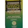 GANGS: A Guide to Understanding Street Gangs (3rd Ed.)