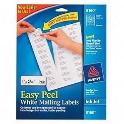 Avery Dennison Address Labels 1 Inch x 2.62 Inch 25 Sheet Address Label 8160