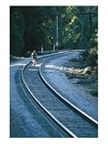 Biking along the Railroad Tracks near Santa Barbara Photographic Print by Rich Reid, 18 x 24