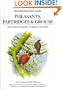 Pheasants Partridges Grouse & Sandgrouse (Helm Identification Guide)