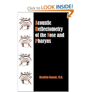 Acoustic Reflectometry
