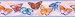 Butterfly Breezes Wall Paper Border