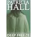 Deep Freeze (Ackroyd & Thackeray Mystery)