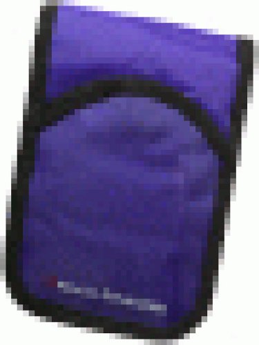 Childrens Toyshop  Video Games : GB Pouch Purple