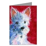West Highland Terrier 