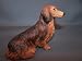 Longhair Dauchshund Sitting Red Dog Figure Dogs & Pups Galore Figurine