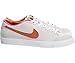 Nike Men's Zoom All Court Ck Skate Shoe