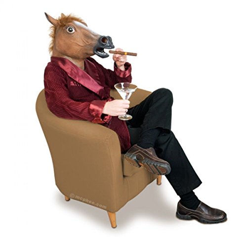 The Mask Biz Horse Head Mask