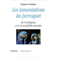 Les lamentations du perroquet