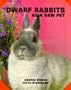 Dwarf Rabbits as a New Pet (As a New Pet Series)