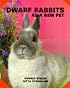 Dwarf Rabbits As a New Pet (As a New Pet Series)