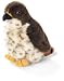 Red Tailed Hawk   Audubon