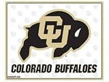 Tailgate Pad Colorado Flexible Chopping Mats Set of 2