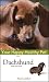   - Dachshund: Your Happy Healthy Pet