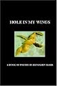 Hole In My Wings