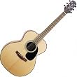 Takamine G220