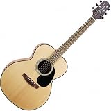 Takamine G220