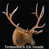 Wildlife Mounts Elk Head