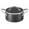 T-fal IHセレクティブ シチューパン 24cm C66146