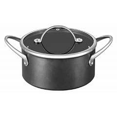 T-fal IHセレクティブ シチューパン 24cm C66146