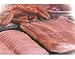 Nueske Breakfast Trio - Meat Gift Assortment